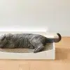 GRATTA GRIFFOIR DESIGN POUR CHAT MIACARA