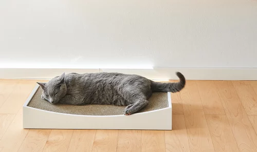 GRATTA GRIFFOIR DESIGN POUR CHAT MIACARA