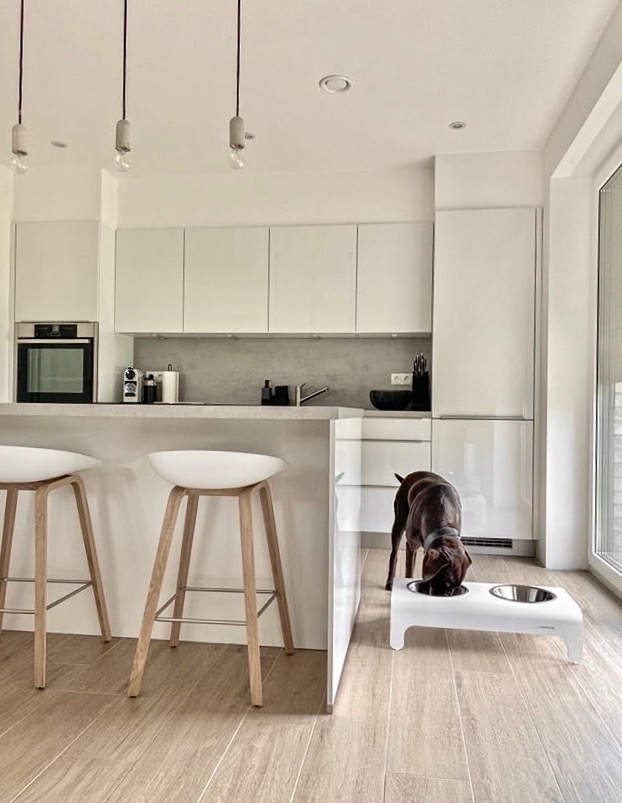 Gamelle pour chien - RICO LABBVENN Gamelle pour chien - RICO LABBVENN