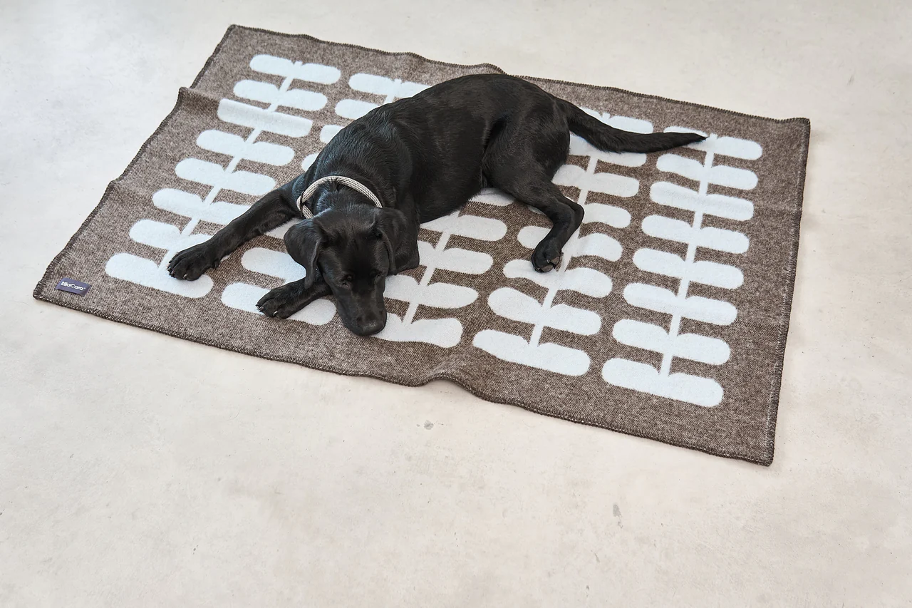 couverture pour chien chat design laine hiver flora miacara couverture pour chien chat design laine hiver flora miacara