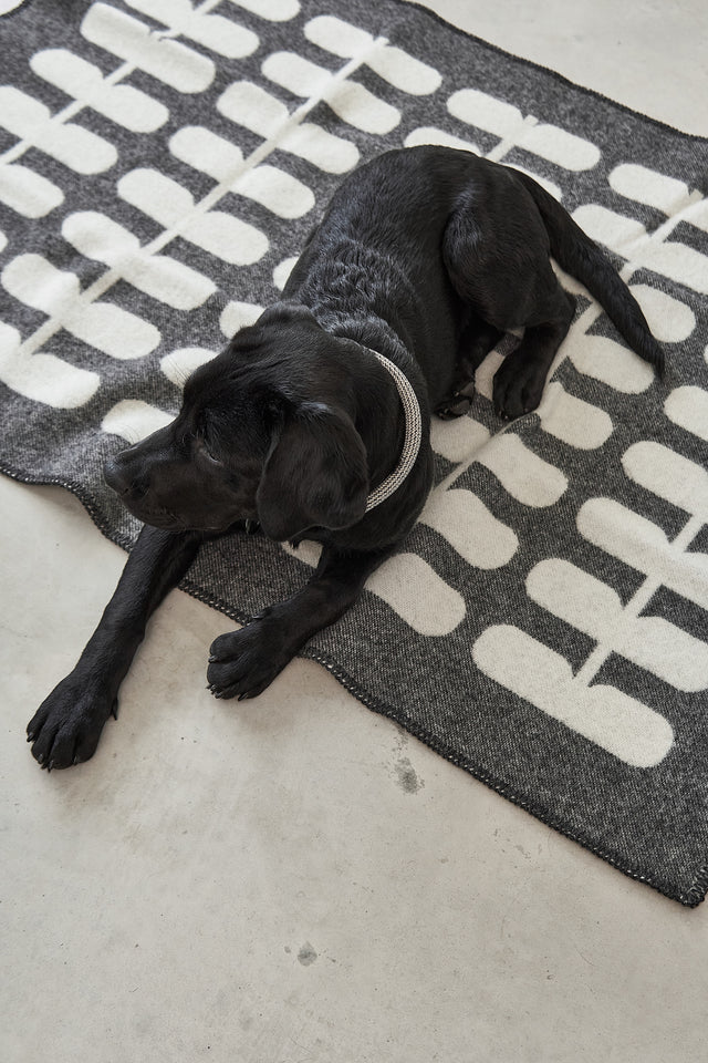 couverture pour chien chat design laine hiver flora miacara couverture pour chien chat design laine hiver flora miacara