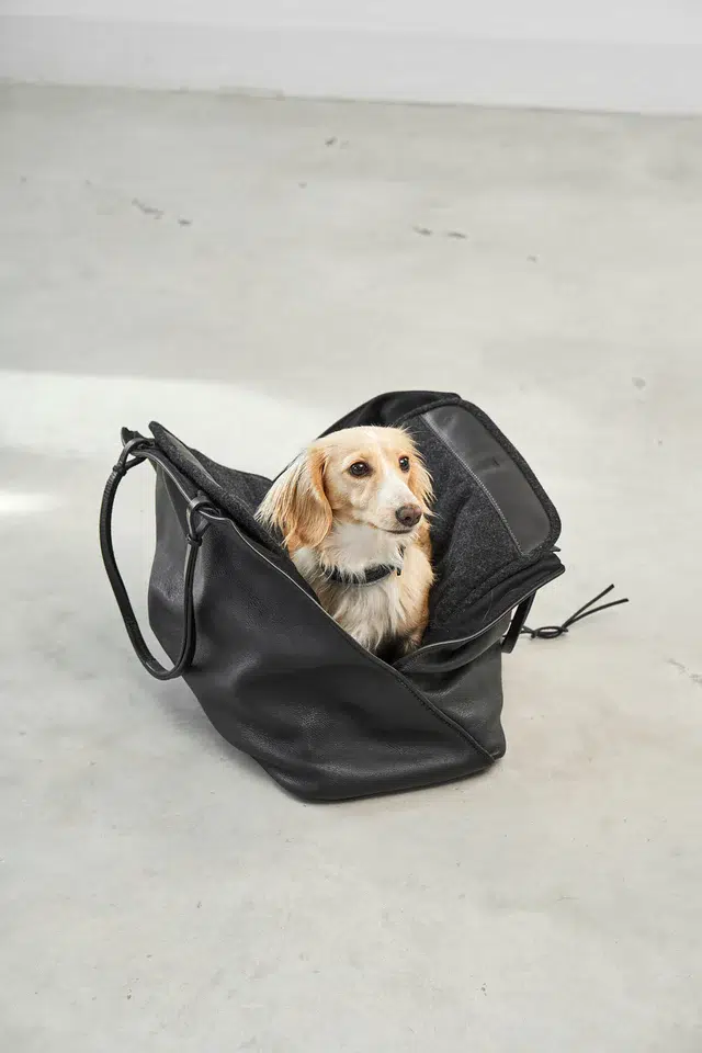 Sac à main en cuir pour chien - BORSA