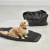 Sac à main en cuir pour chien - BORSA