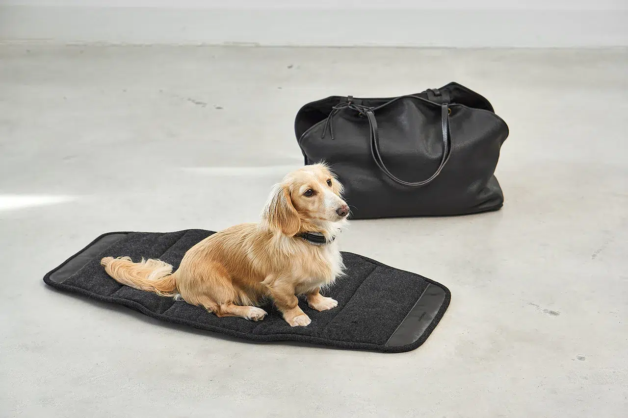 Sac à main en cuir pour chien - BORSA
