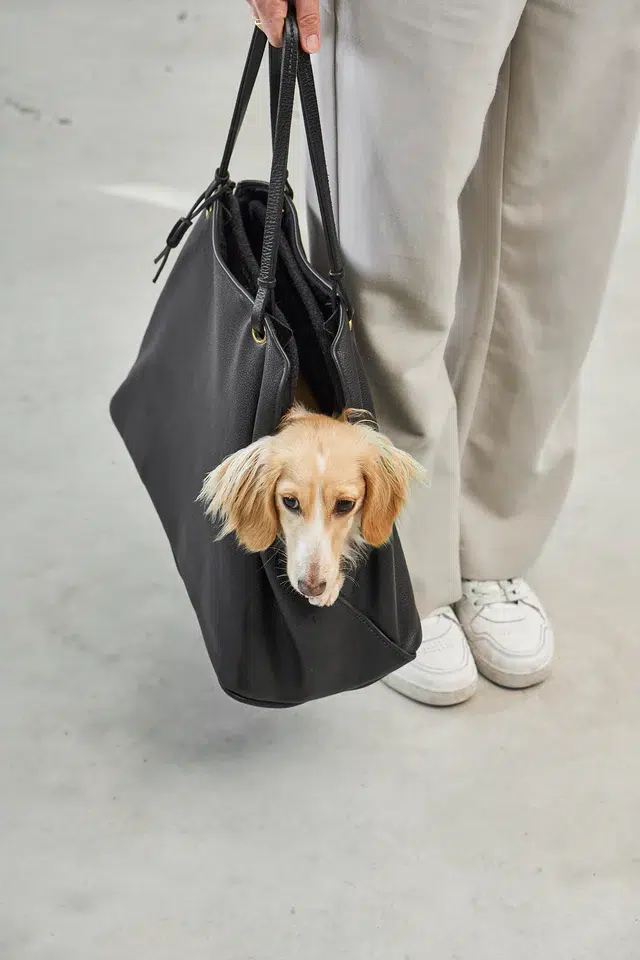 Sac à main en cuir pour chien - BORSA