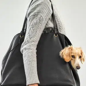 Sac à main en cuir pour chien - BORSA