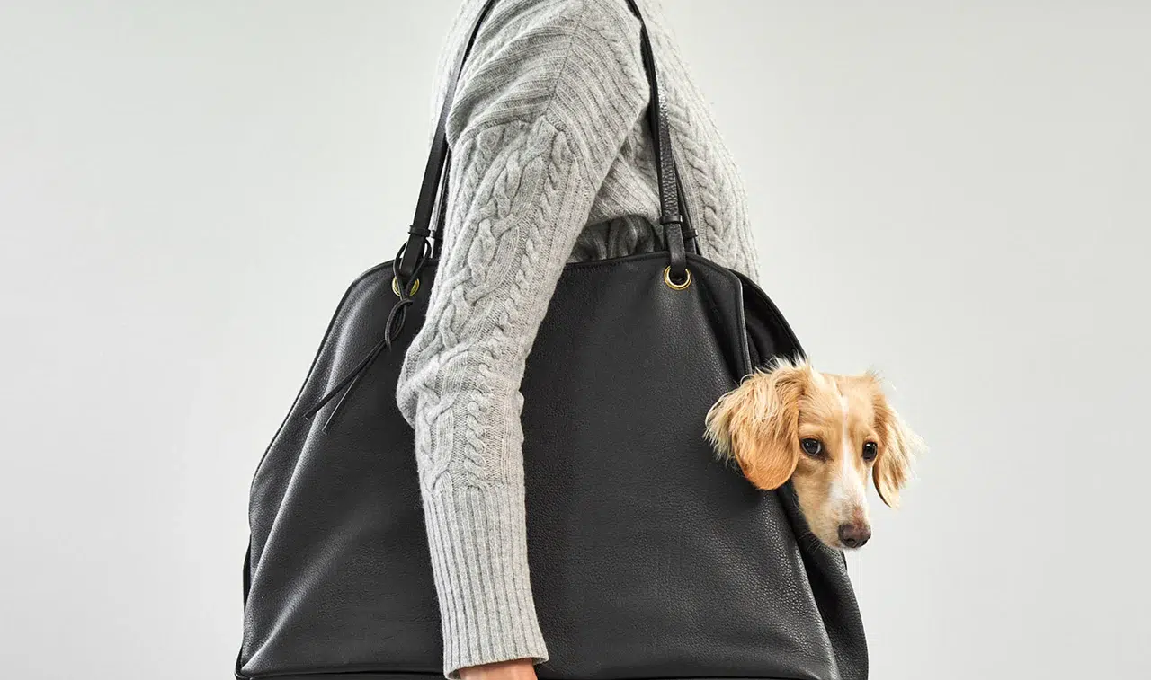 Sac à main en cuir pour chien - BORSA