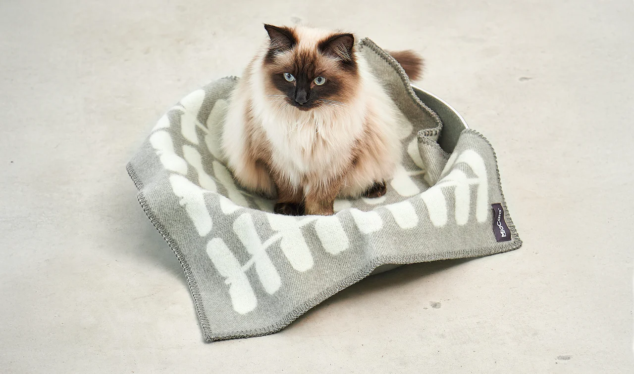 couverture pour chien chat design laine hiver flora miacara