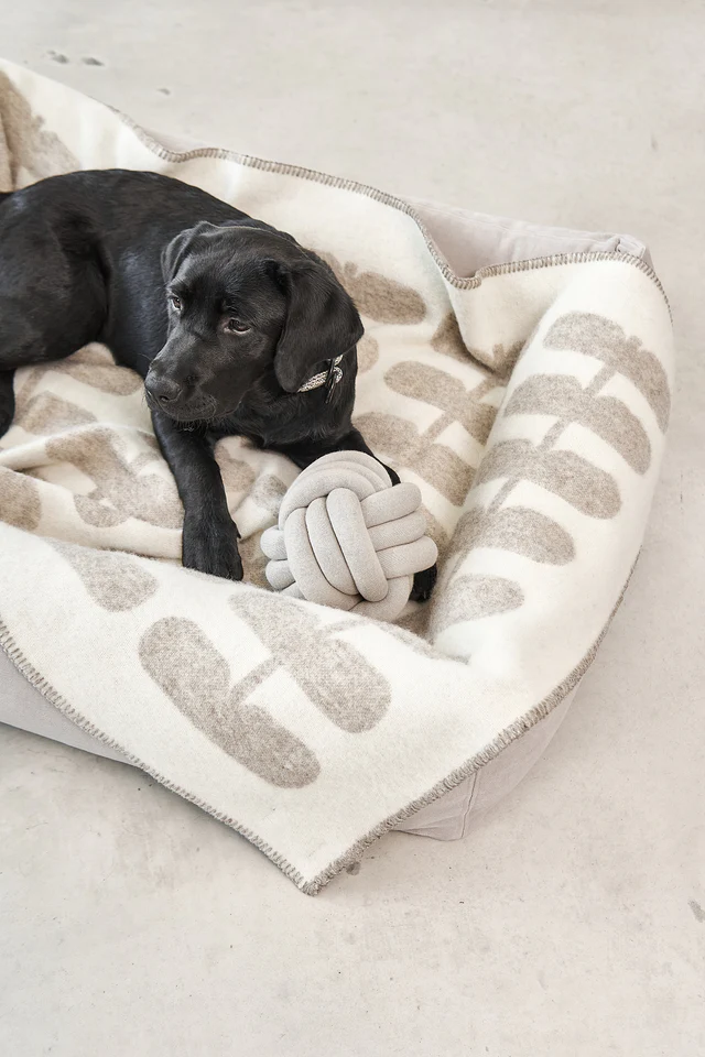 couverture pour chien chat design laine hiver flora miacara couverture pour chien chat design laine hiver flora miacara