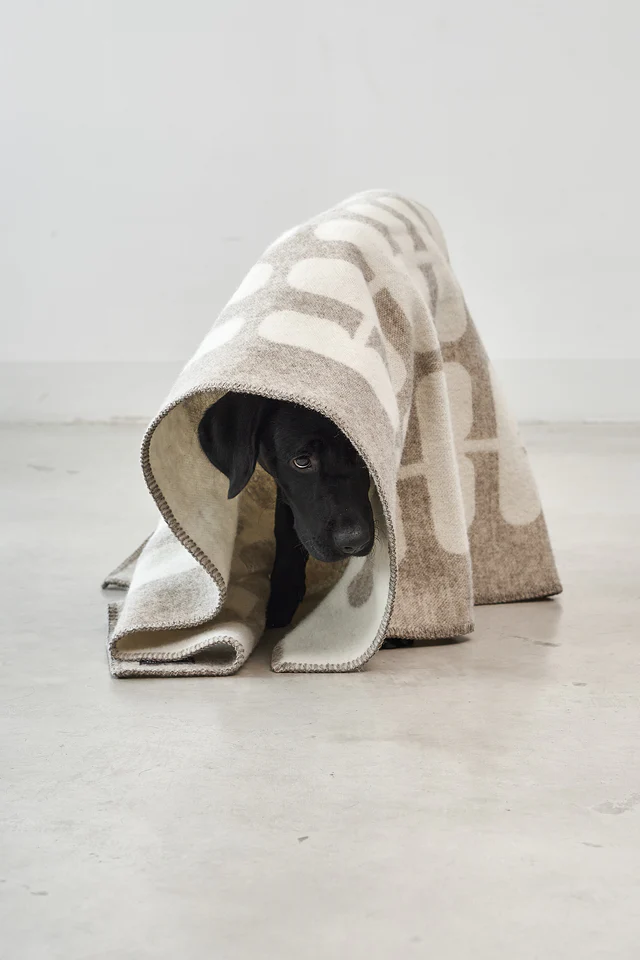 couverture pour chien chat design laine hiver flora miacara couverture pour chien chat design laine hiver flora miacara