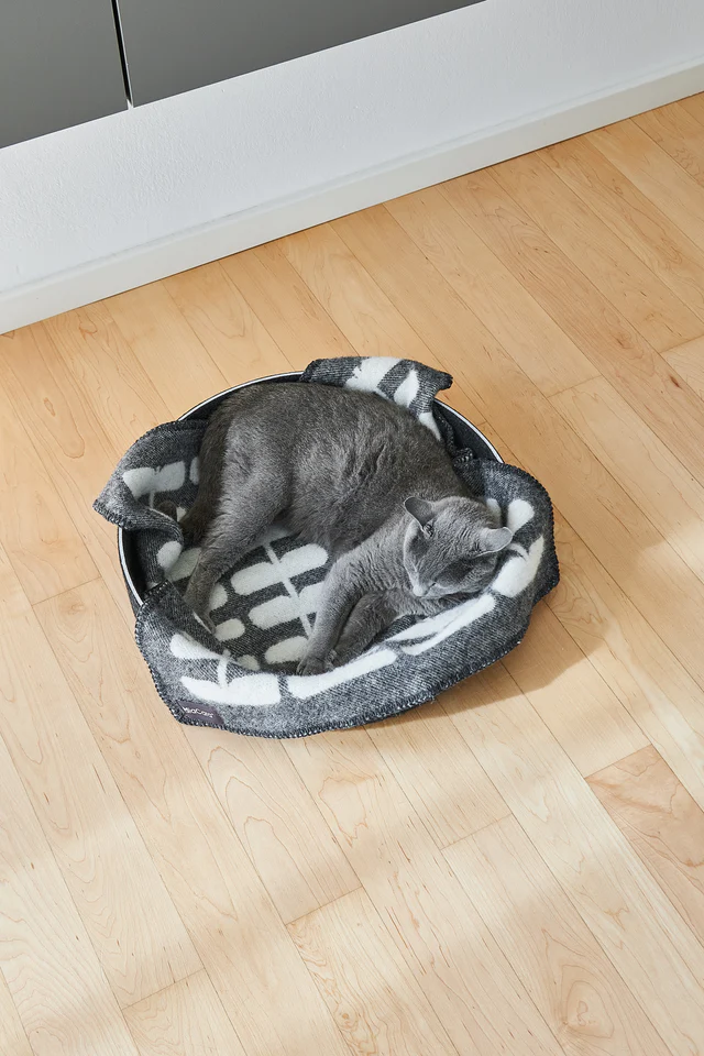 couverture pour chien chat design laine hiver flora miacara