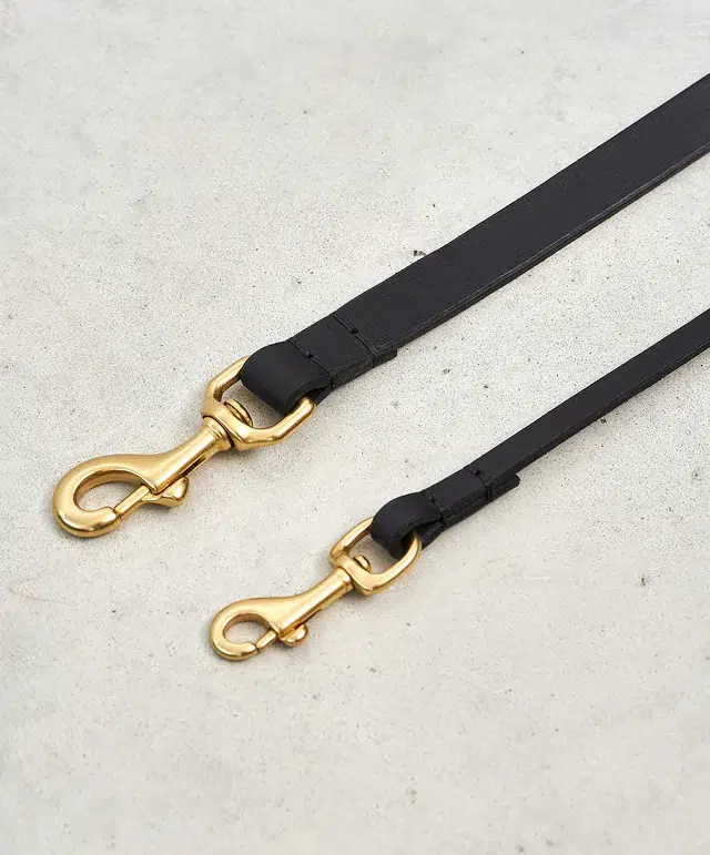Collier pour chien avec laisse en cuir - FANO PALERMO NAPOLI MIACARA
