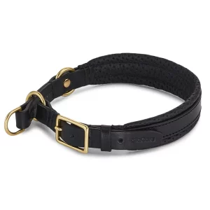 Collier pour chien avec laisse en cuir – FANO