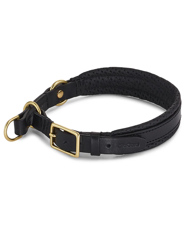 Collier pour chien avec laisse en cuir - FANO PALERMO NAPOLI MIACARA