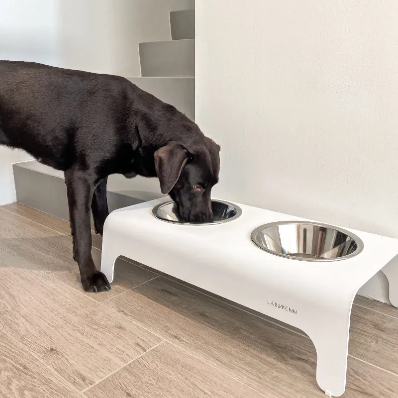 Gamelle pour chien et chat - RICO LABBVENN Gamelle pour chien et chat - RICO LABBVENN