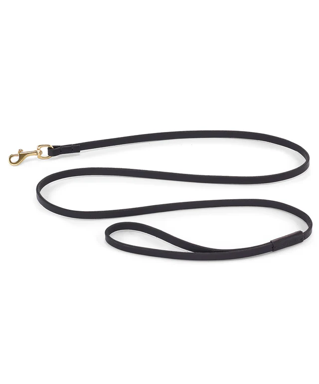 Collier pour chien avec laisse en cuir - FANO PALERMO NAPOLI MIACARA
