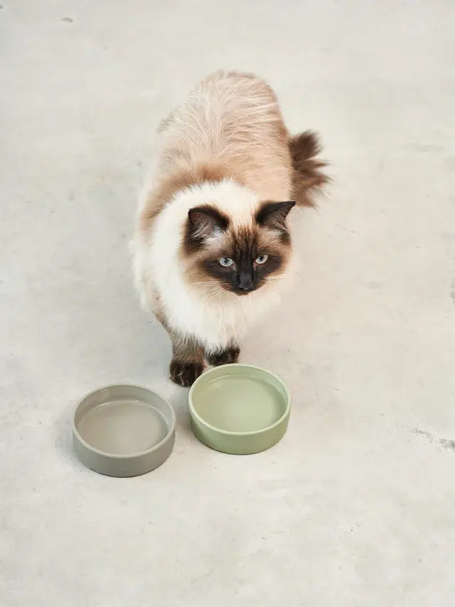 2511_mc_lifestyle_Scodella_low-res_recolored