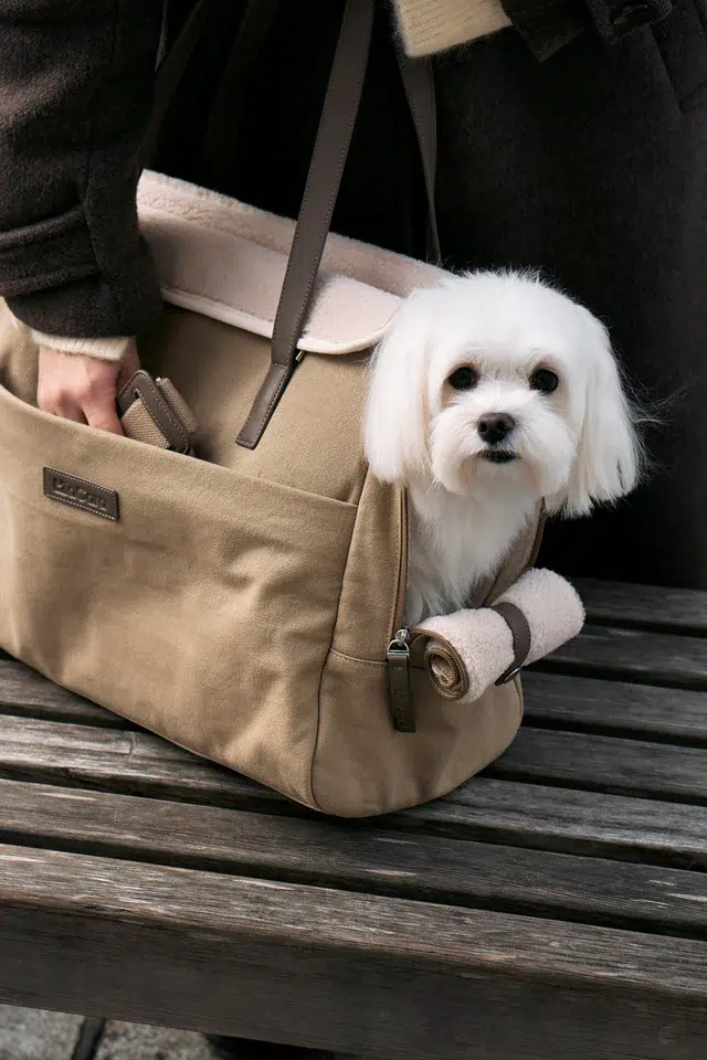 Sac de voyage pour chien - TASCA