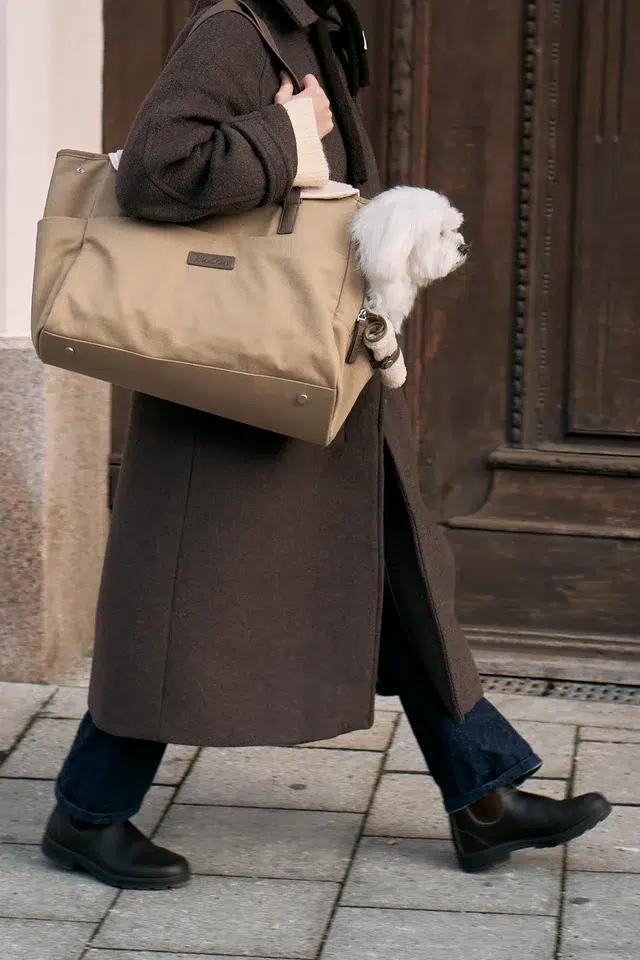 Sac de voyage pour chien - TASCA