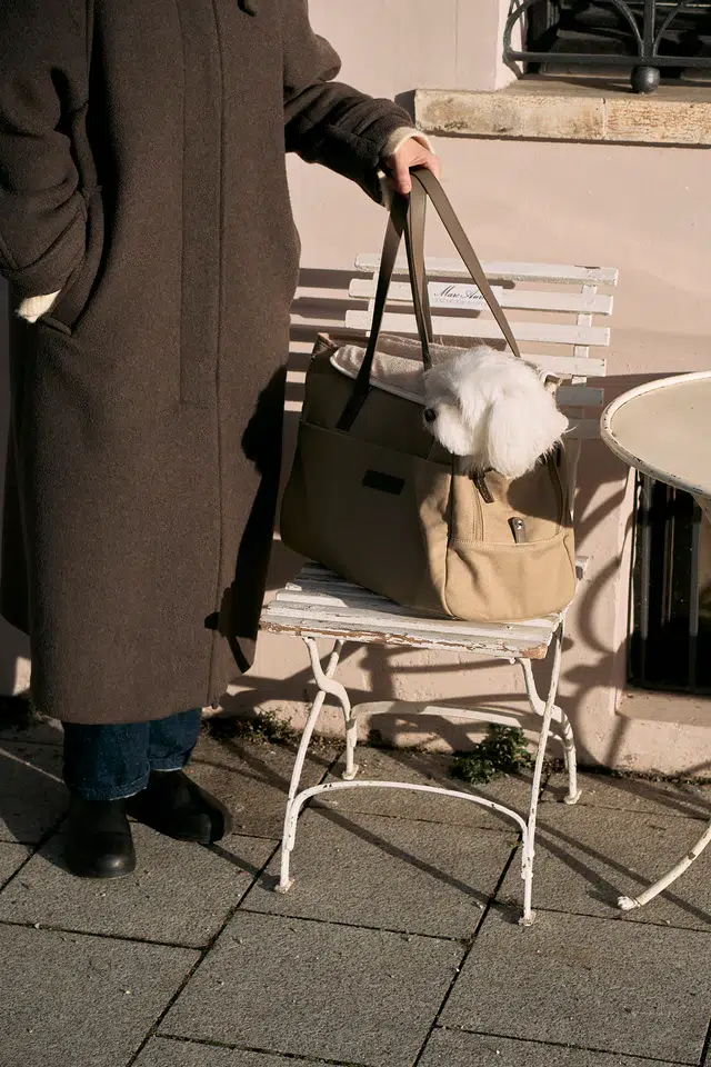 Sac de voyage pour chien - TASCA