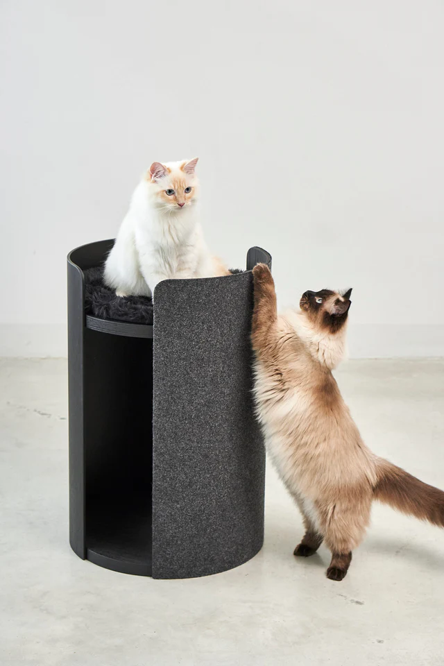 TORRE ARBRE A CHAT COUSSIN DESIGN LUXE MIACARA