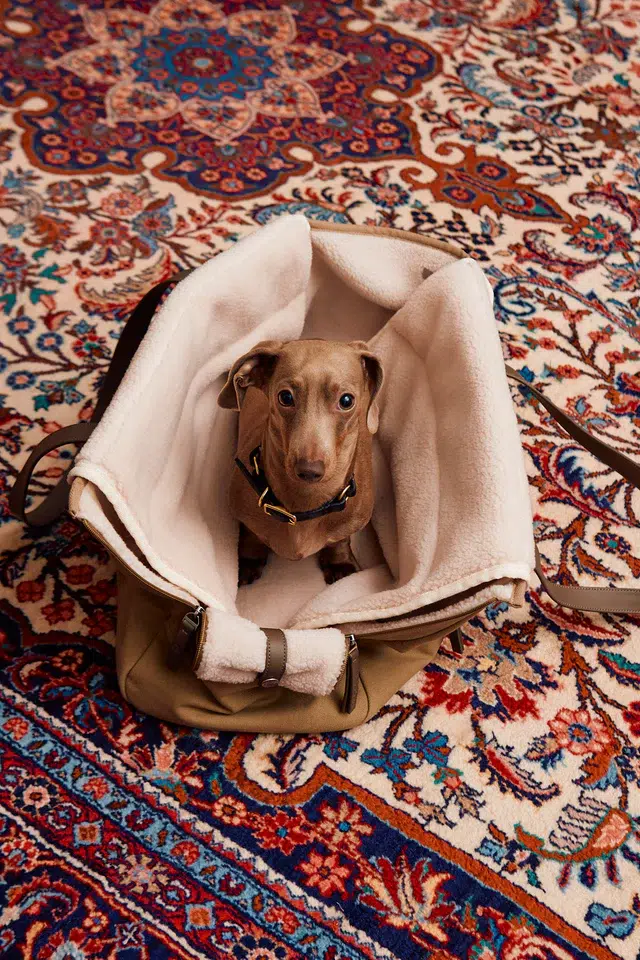 Sac de voyage pour chien - TASCA