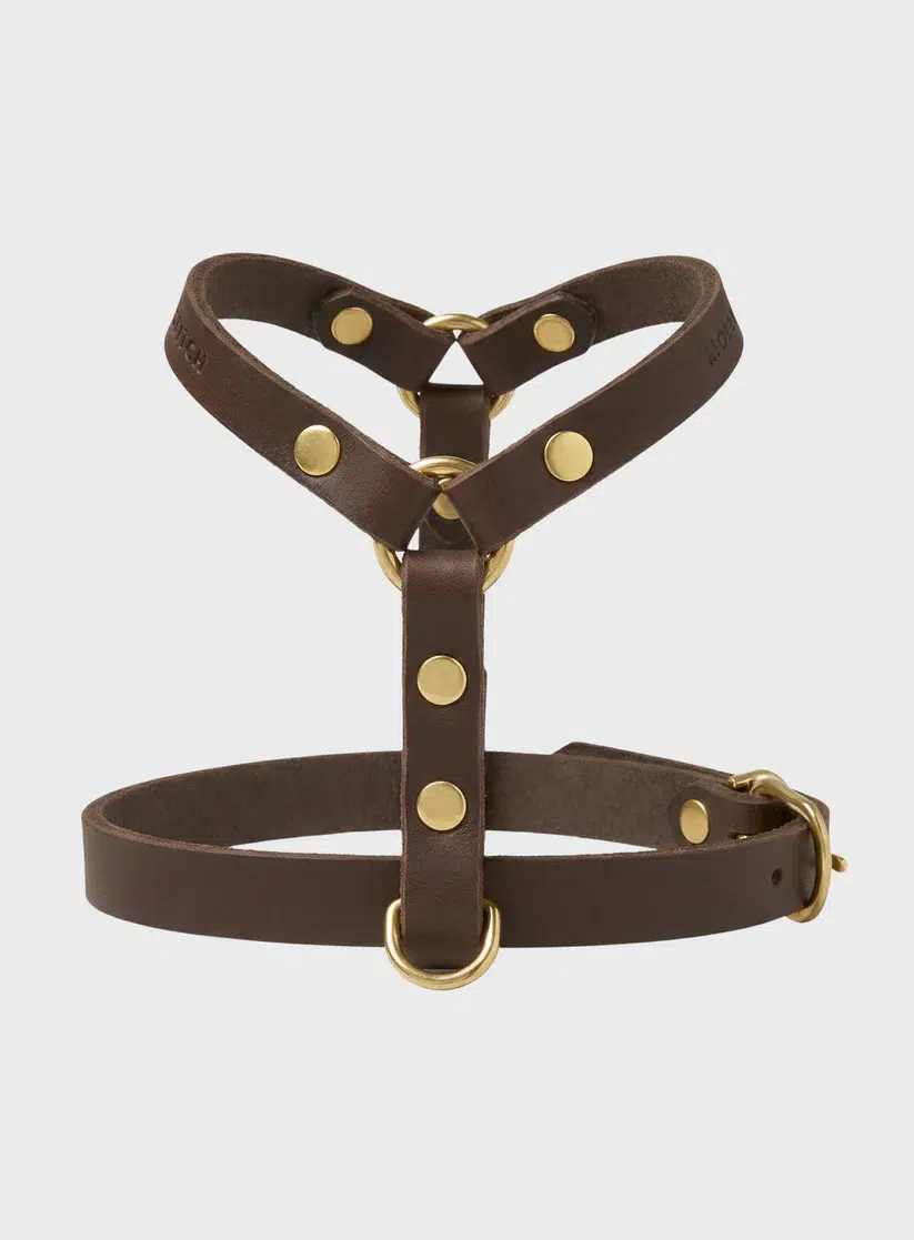 HARNAIS MOLLY AND STITCH BUTTER Y CHIEN DESIGN