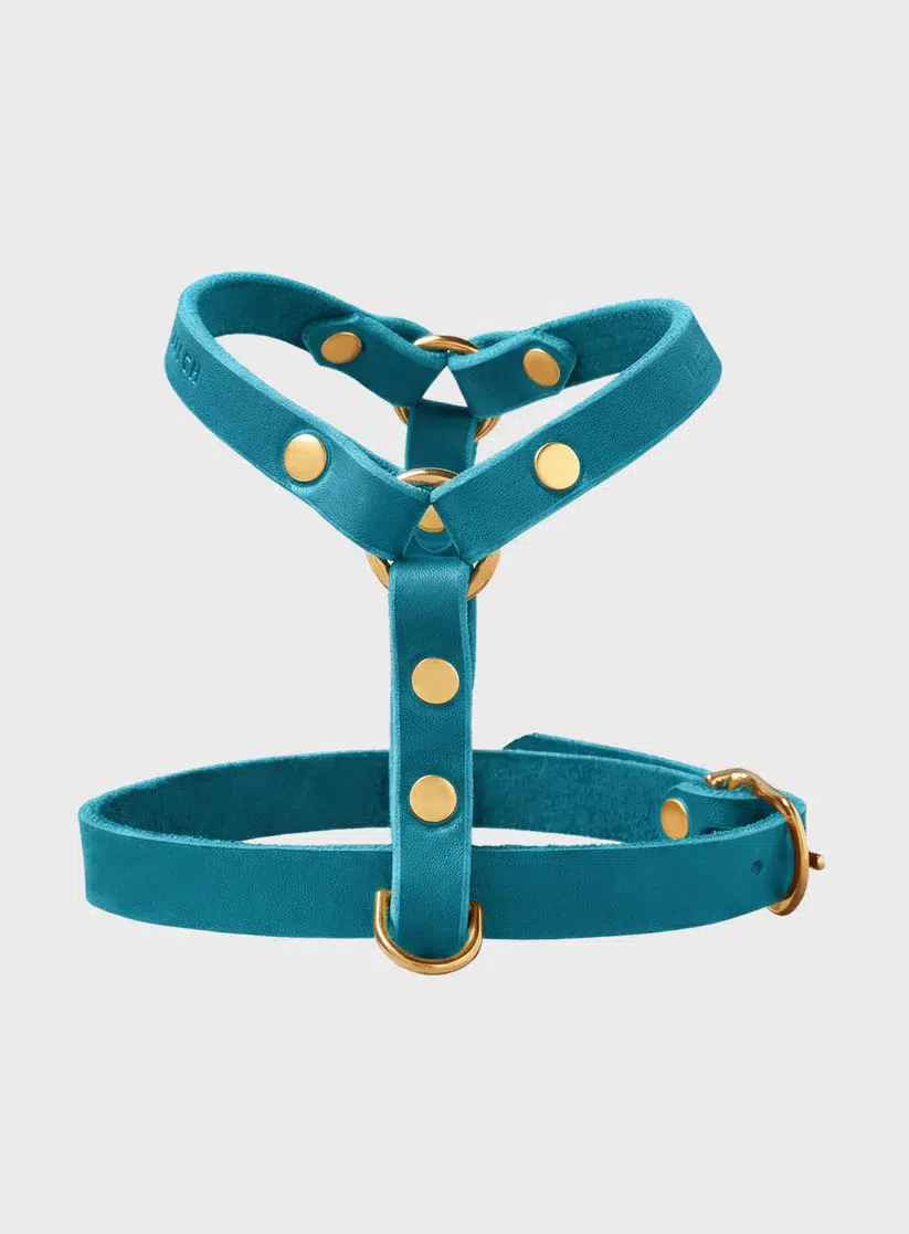 HARNAIS MOLLY AND STITCH BUTTER Y CHIEN DESIGN