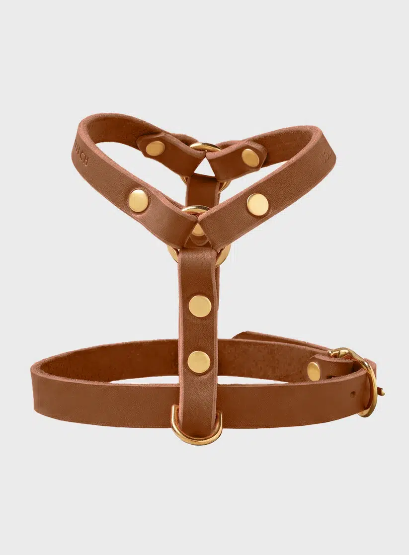 HARNAIS MOLLY AND STITCH BUTTER Y CHIEN DESIGN