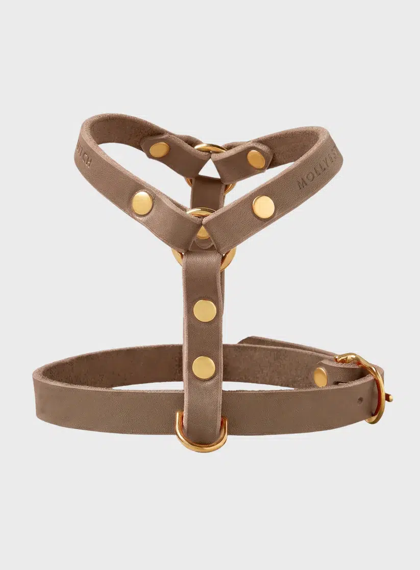 HARNAIS MOLLY AND STITCH BUTTER Y CHIEN DESIGN