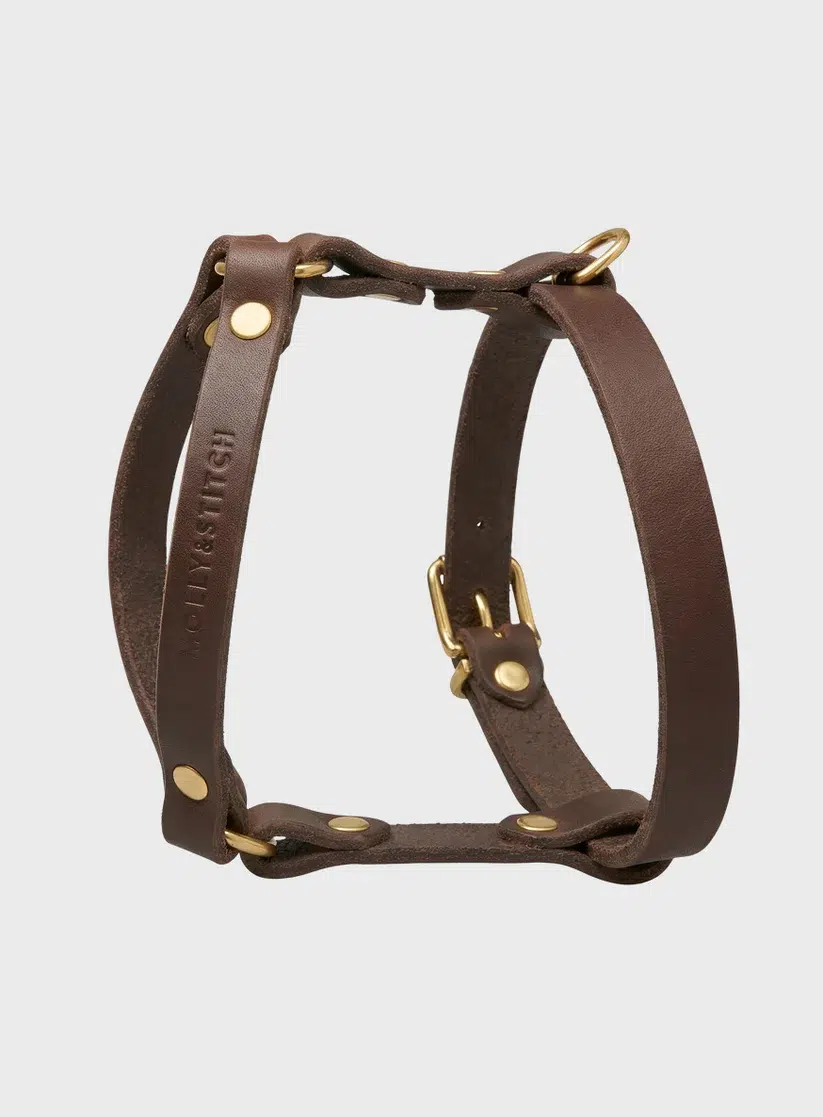 HARNAIS MOLLY AND STITCH BUTTER Y CHIEN DESIGN