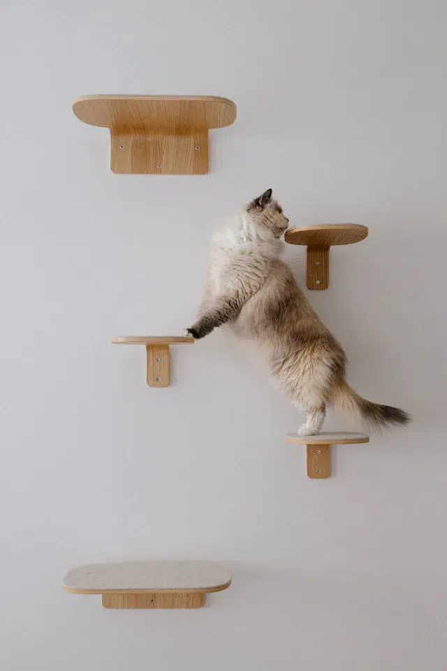 Arbre à chat mural design Parete
