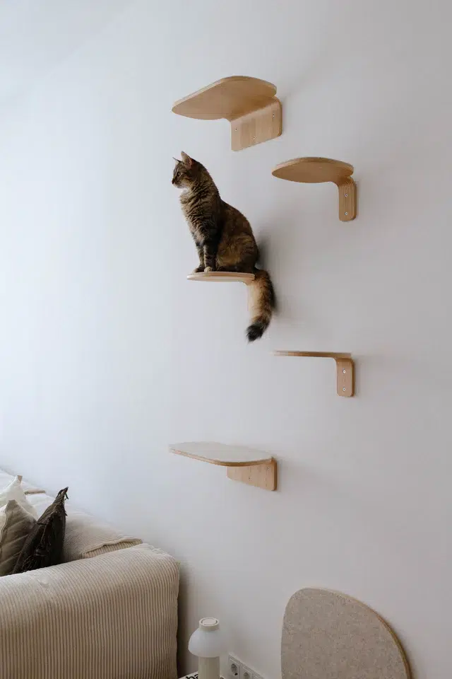 Arbre à chat mural design Parete