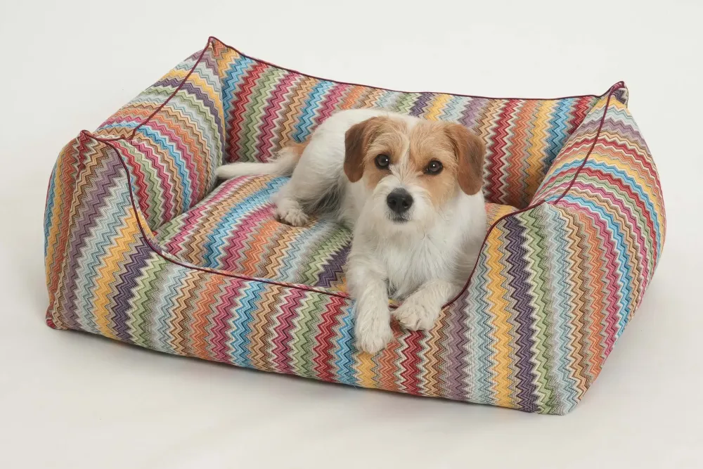 PANIER ZICZAC POUR CHIEN DESIGN DOGS IN THE CITY