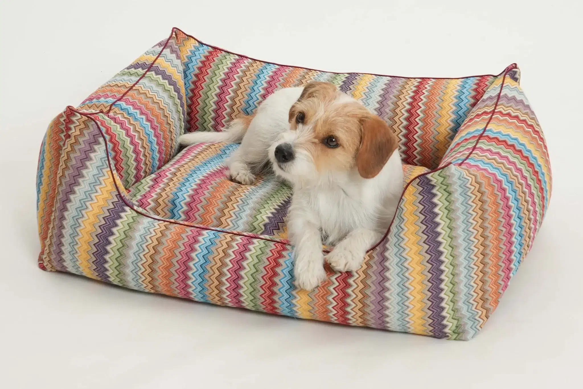 PANIER ZICZAC POUR CHIEN DESIGN DOGS IN THE CITY